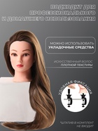 Голова учебная, искусственный волос, 75-80 см, без штатива, тёмно-русая - Фото 2