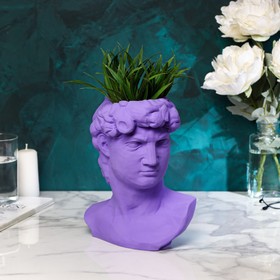Фигурное кашпо-органайзер "Голова Давида", фиолетовый, 26 см