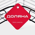 Полка для ванной Доляна, угловая, 2 крючка, 26×26×10 см, чёрная - Фото 8