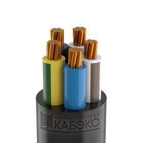 

Кабель ВВГнг(А)-LS 5х50 Кабэкс, цена за метр