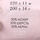 Пряжа "Буклированная"  30% мохер,20% шерсть,50% акрил  220м/200гр (1097 М) - Фото 4