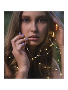 Гирлянда «Нить» 2 м роса, IP20, серебристая нить, 20 LED, батарейки CR2032×2 (в комплекте), свечение тёплое белое - Фото 5
