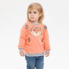 Свитшот для девочки WILDCAT, цвет оранжевый, рост 98 см - Фото 4