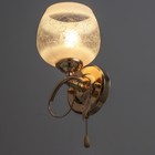 Бра 3905-158/1, 40 Вт, E27, золотистое - Фото 3