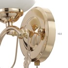 Бра 3905-158/1, 40 Вт, E27, золотистое - Фото 6