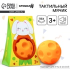 Развивающий тактильный мячик Крошка Я «Зайка», с пищалкой, 1 шт - Фото 1