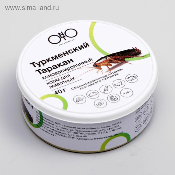 Консервированный корм ONTO для животных, туркменский таракан, 40 г - Фото 1