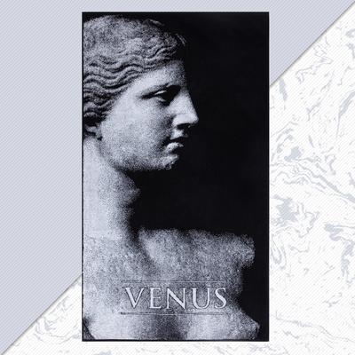 Полотенце махровое «Этель. Венера», 70×130 см, 100% хлопок, 420 г/м², чёрно-белое