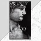 Полотенце махровое Этель «Давид» 70×130 см, 100% хлопок, 420 г/м², чёрно-белое - Фото 1