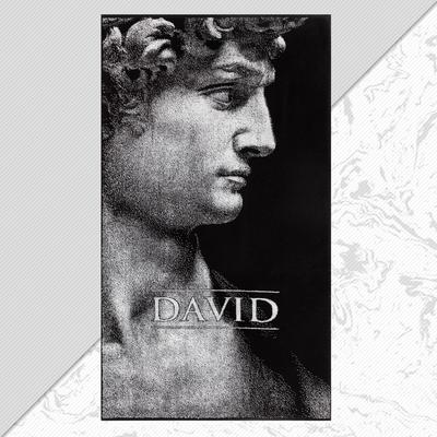 Полотенце махровое Этель «Давид» 70×130 см, 100% хлопок, 420 г/м², чёрно-белое