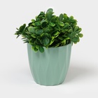 Кашпо для цветов со вставкой «Флюте», 1.9 л, цвет нефрит - Фото 4