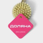 Щётка для посуды Доляна, 21×6 см - Фото 9