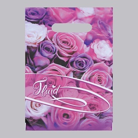 Пакет «Флюид», полиэтиленовый с вырубной ручкой, 30 мкм, 20?30 см (комплект 100 шт)