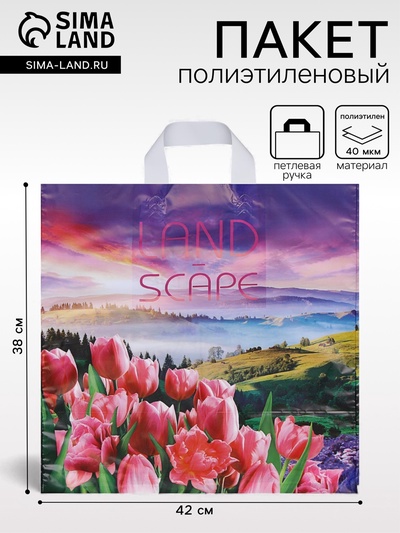 Пакет «Просторы», полиэтиленовый с петлевой ручкой, 38×42 см, 40 мкм