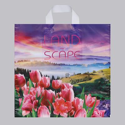 Пакет «Просторы», полиэтиленовый с петлевой ручкой, 38×42 см, 40 мкм