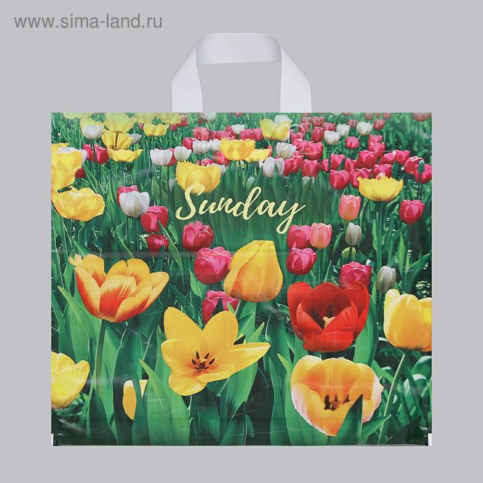 Пакет "Поле тюльпанов", полиэтиленовый с петлевой ручкой, 40 х 42 см, 45 мкм - Фото 1