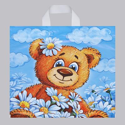 Пакет «Тоша», полиэтиленовый с петлевой ручкой, 40×42 см, 45 мкм