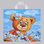 Пакет «Тоша», полиэтиленовый с петлевой ручкой, 40×42 см, 45 мкм 5860339