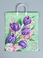 Пакет «Беатрис», полиэтиленовый с пластиковой ручкой, 100 мкм 40×44 см - Фото 1