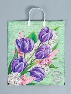 Пакет «Беатрис», полиэтиленовый с пластиковой ручкой, 100 мкм 40×44 см - Фото 2