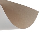 Картон белый А4, 24 листа "Панда", односторонний, немелованный, 200 г/м2, в пакете - фото 9148493