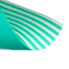 Картон цветной двусторонний А4, 6 листов, 6 цветов "Полоски", мелованный, 200 г/м² - фото 24548019