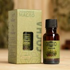 Масло эфирное «Сосна» 20 мл, крафт, Добропаровъ - Фото 1