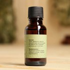 Масло эфирное «Мята» 20 мл, крафт, Добропаровъ - Фото 5