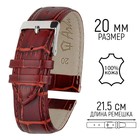 Ремешок для часов, мужской, 20 мм, запряжник 75 мм, горт 115 мм, натуральная кожа, тёмно-коричневый - Фото 1