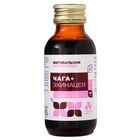 Фитобальзам «Чага плюс» без сахара, стеклянный флакон, 100 мл - фото 26665808