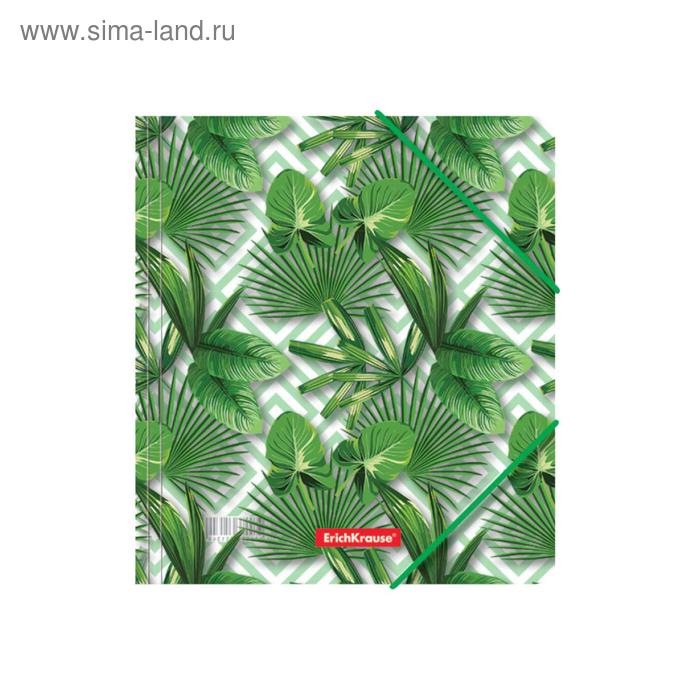 Папка на резинке для тетрадей A5+, 550 мкм, ErichKrause Tropical Leaves, до 300 листов, с рисунком - Фото 1