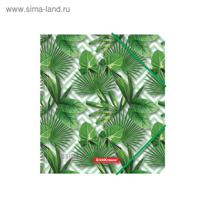 Папка на резинке для тетрадей A5+, 550 мкм, ErichKrause Tropical Leaves, до 300 листов, с рисунком