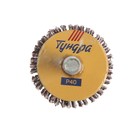 Круг лепестковый радиальный ТУНДРА, 30 х 20 х 6 мм, Р40 - Фото 2