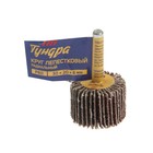 Круг лепестковый радиальный ТУНДРА, 30×20×6 мм, Р60 - Фото 5