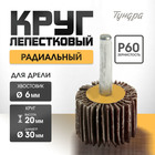 Круг лепестковый радиальный ТУНДРА, 30 х 20 х 6 мм, Р60 5162349 - фото 12091442