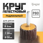 Круг лепестковый радиальный ТУНДРА, 30×20×6 мм, Р80 - Фото 1