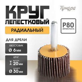 Круг лепестковый радиальный ТУНДРА, 30 х 20 х 6 мм, Р80 5162350