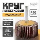 Круг лепестковый радиальный ТУНДРА, 40×20×6 мм, Р40 - Фото 1