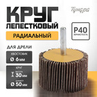 Круг лепестковый радиальный ТУНДРА, 50×30×6 мм, Р40 - Фото 1