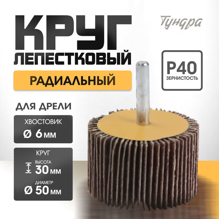 Круг лепестковый радиальный ТУНДРА, 50×30×6 мм, Р40 - Фото 1