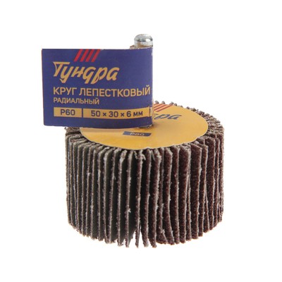 Круг лепестковый радиальный ТУНДРА, 50×30×6 мм, Р60