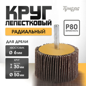 Круг лепестковый радиальный ТУНДРА, 50 х 30 х 6 мм, Р80 5162356