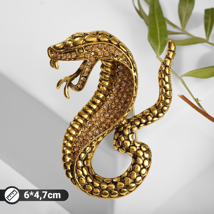 Брошь «Змея» кобра, цвет золото - Фото 1