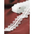 Кружево гипюровое, двухслойное, 24 мм × 6,8 ± 0,5 м, цвет белый - Фото 3