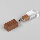 Флешка E 310 Wood BL, 32 ГБ, USB2.0, чт до 25 Мб/с, зап до 15 Мб/с, кристалл в дереве - Фото 6