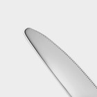 Набор столовых приборов из нержавеющей стали Magistro «Версаль», 4 предмета, цвет серебряный - Фото 3