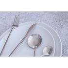 Столовые приборы Magistro «Блинк», 4 предмета, нержавеющая сталь, серебристые - Фото 9