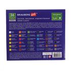 Пастель масляная 36 цветов, Brauberg Art Classic - фото 30753758