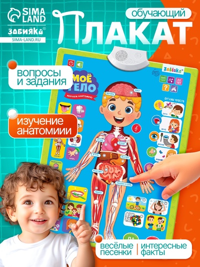 Обучающий плакат «Изучаем анатомию: Моё тело»