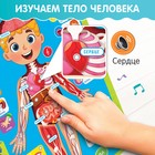 Обучающий плакат «Изучаем анатомию: Моё тело» - Фото 4